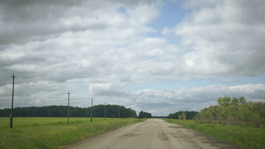 Дорога. Алтайский край.