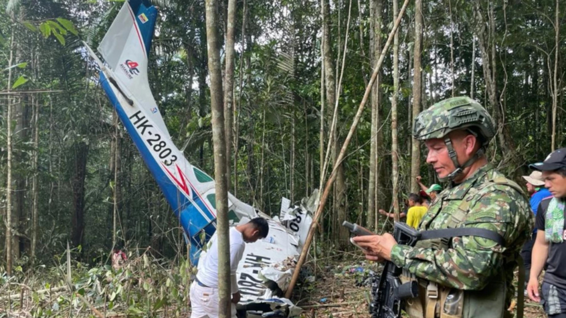 Самолет в джунглях камбоджи. Самолет упал в джунглях. Авиакатастрофа в джунглях. Авиакатастрофа в джунглях. Крушение самолета в джунглях.