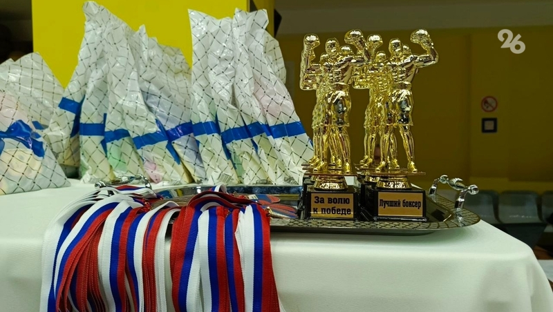 Юношеская сборная по боксу Ставрополья завоевала золото на первенстве Европы