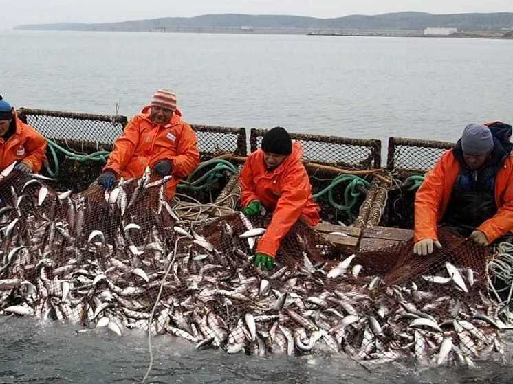  В Корсакове с начала года реализовано 75 тонн свежей рыбы