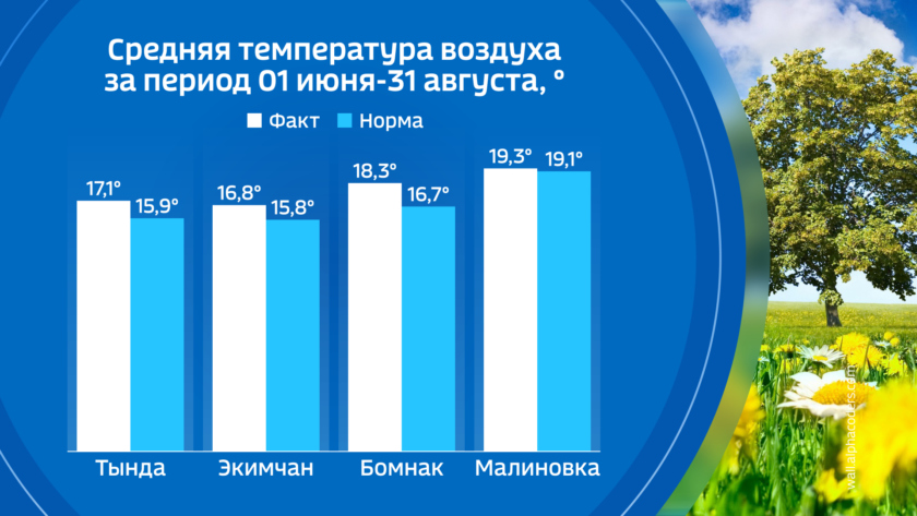 Климатическая норма в Подмосковье.