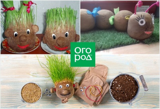 Травянчики
