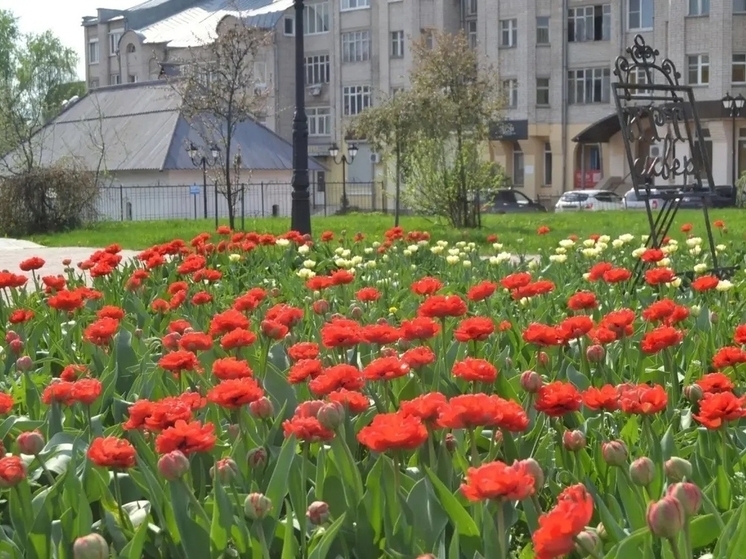 В Иванове высадят 60 тыс. летних цветов