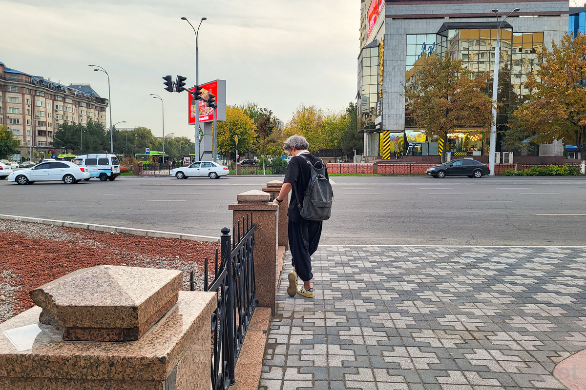 В России предлагают упростить доступ к порталу госуслуг для релокантов