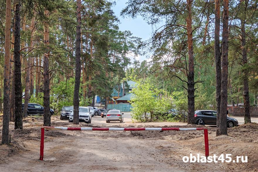 В Курганской области продлили запрет на посещение лесов