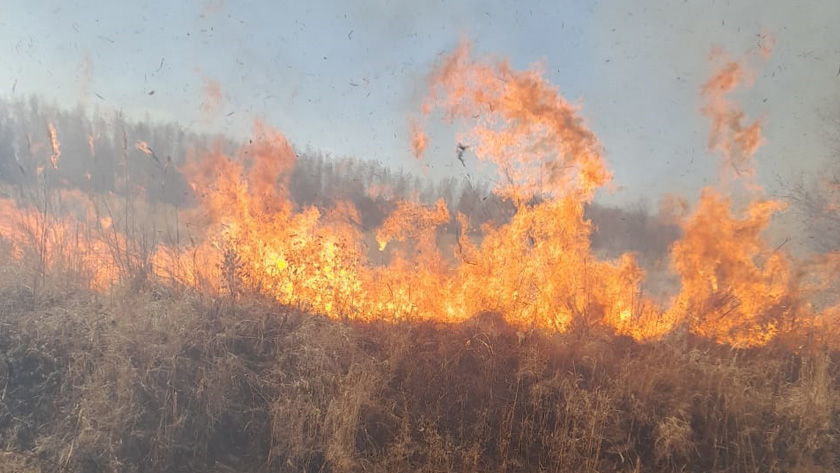 Амурские пожарные ликвидировали 15 палов сухостоя на юге и севере области - gtrkamur.ru
