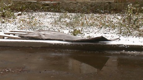 Разжал полусгнил. Разжал полусгнил. Разжал полусгнил. Разжал полусгнил. Кагатная гниль сахарной свеклы.