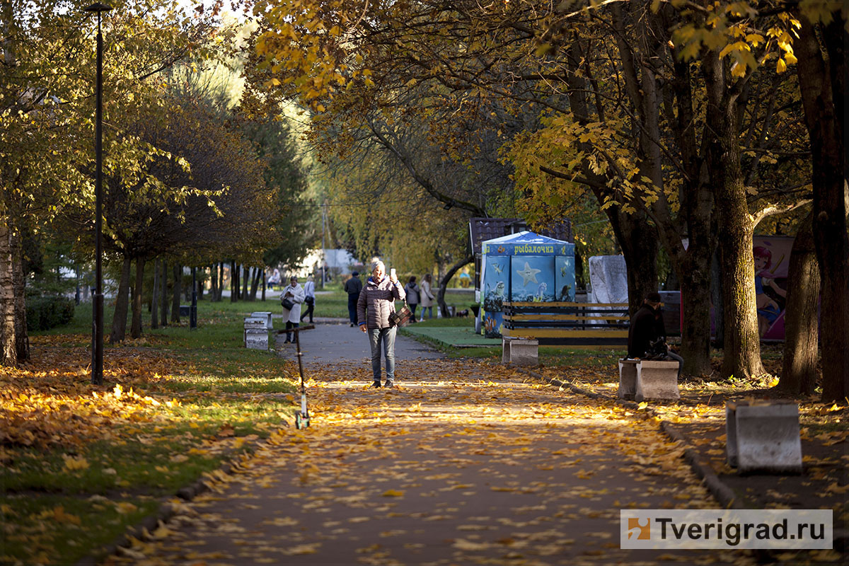 Осенний 12. Осень в городском парке. Золотая осень парк. Осень Тверь парк. Тверь осенний вечер.