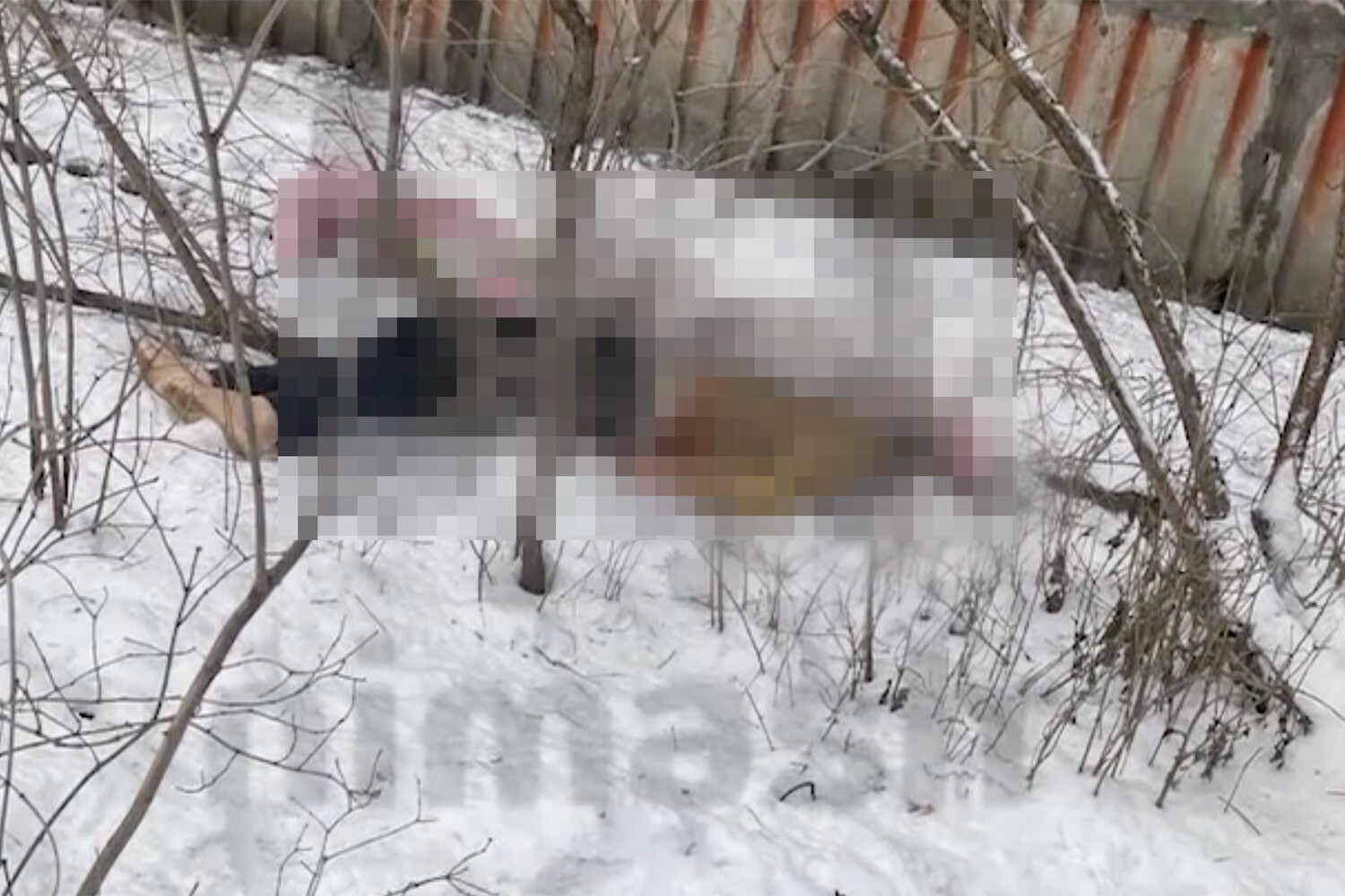 клин выпал человек из окна. 2020. ребенок выпал из окна дзержинск. выпал из окна в нижнем новгороде. нижний новгород девушка выбросилась из окна 2021.