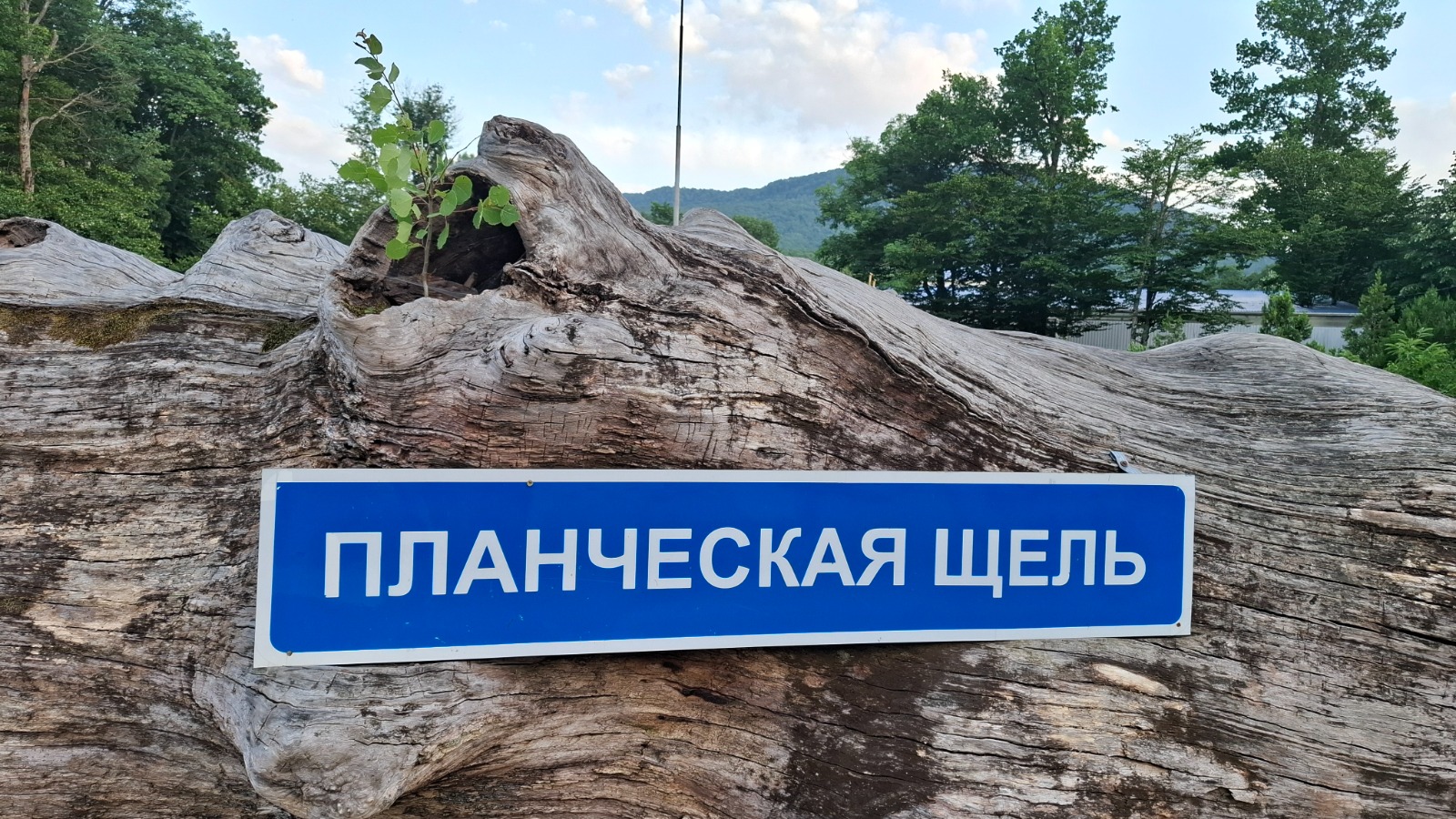 скалы