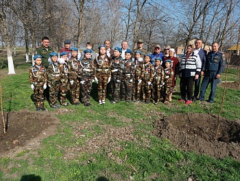 В красноярском селе посадили деревья в память погибших участников СВО