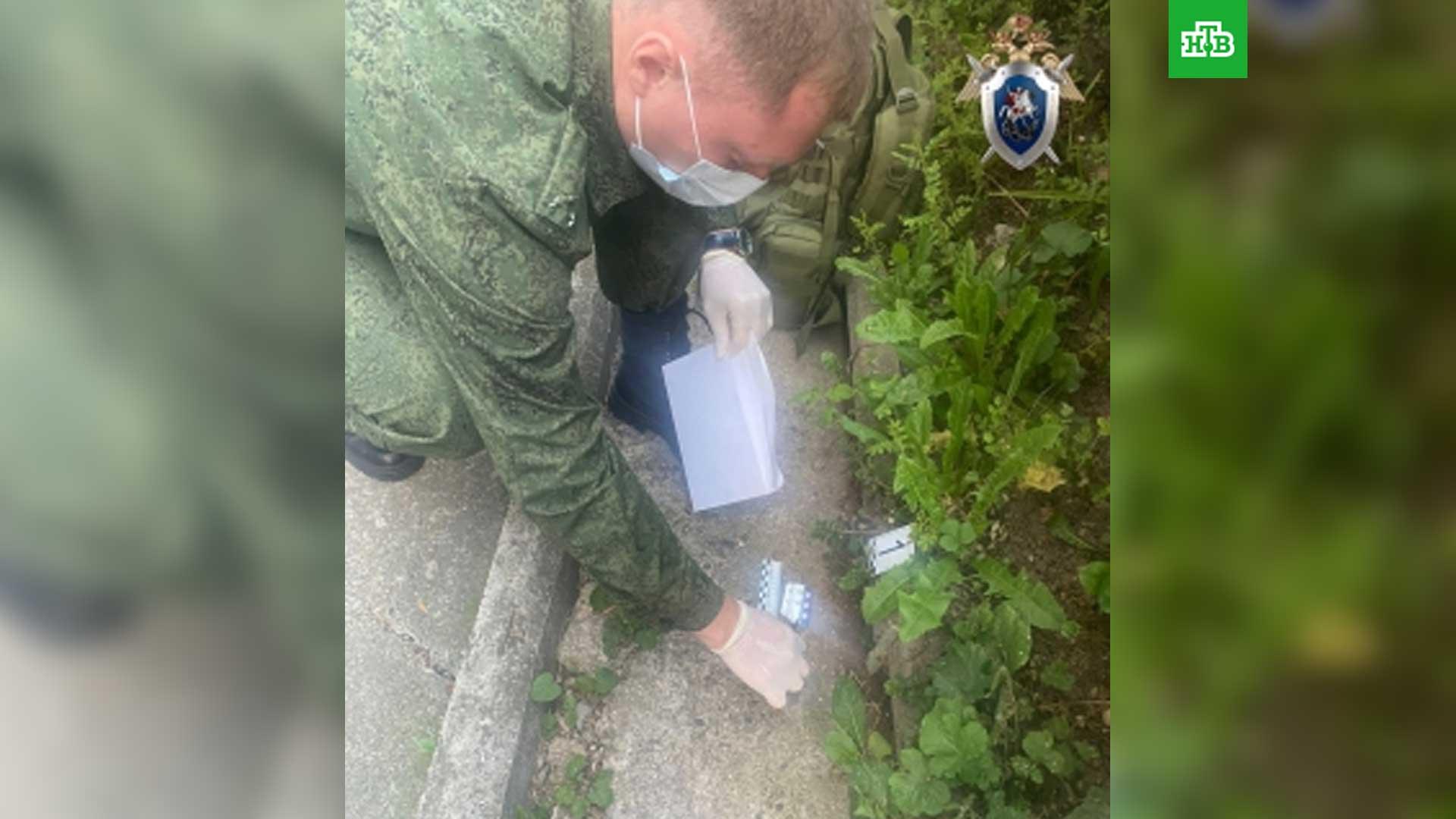 что такое джут презентация. убитые украинские военные. род кустарников семейства вересковых. семейство бобовые представители. роды в кустах.