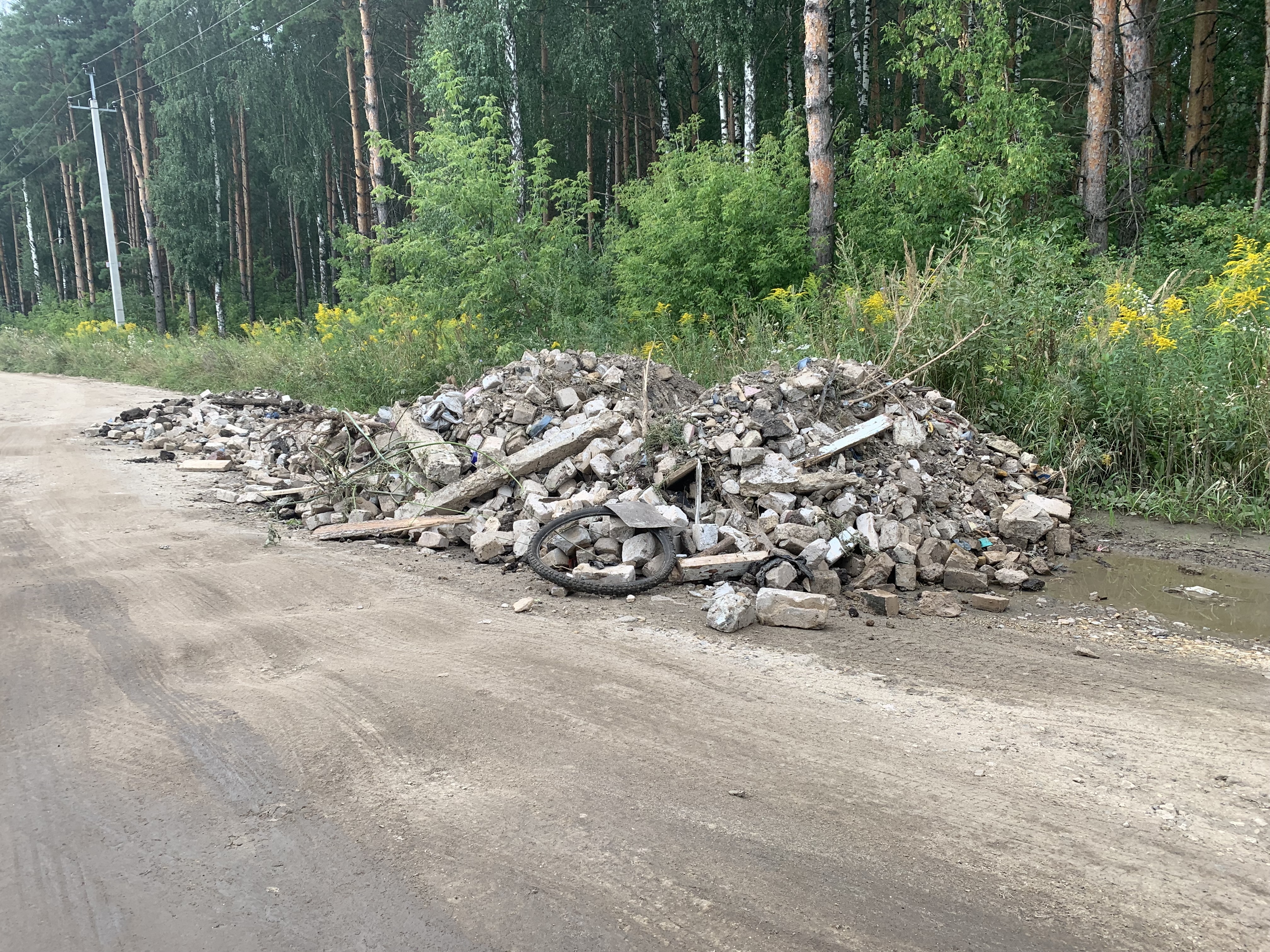 Дорожная карта по ликвидации несанкционированных свалок