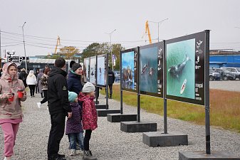 Фестиваль «Море жизни» прошел на берегу Култучного озера в Петропавловске-Камчатском 1