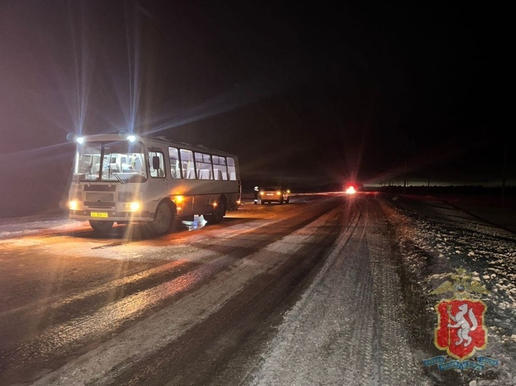 На Урале автобус ПАЗ сбил пешехода, который шел по краю дороги