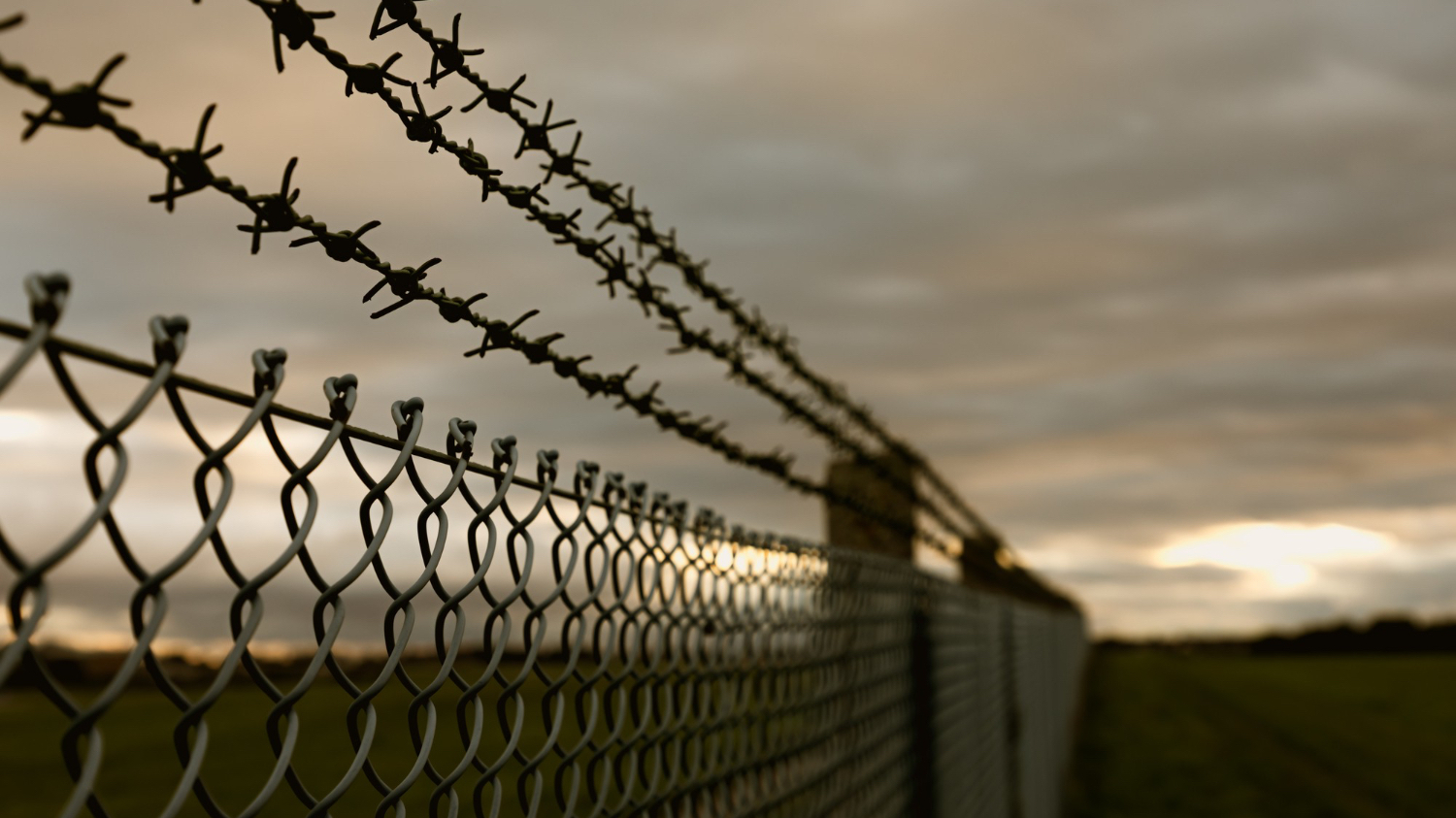 На границах Германии за полгода задержали 700 перевозчиков нелегалов