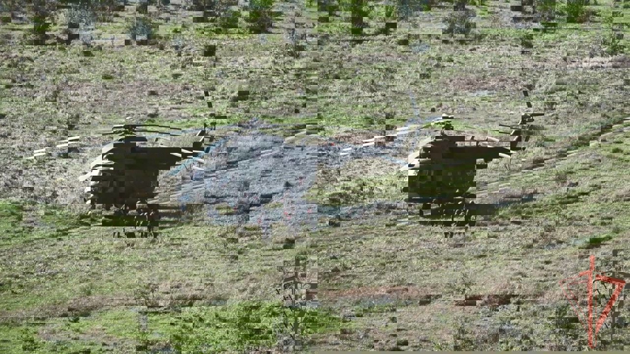 Директор Росгвардии Герой России генерал армии Виктор Золотов дал старт межведомственному командно-штабному учению (видео)