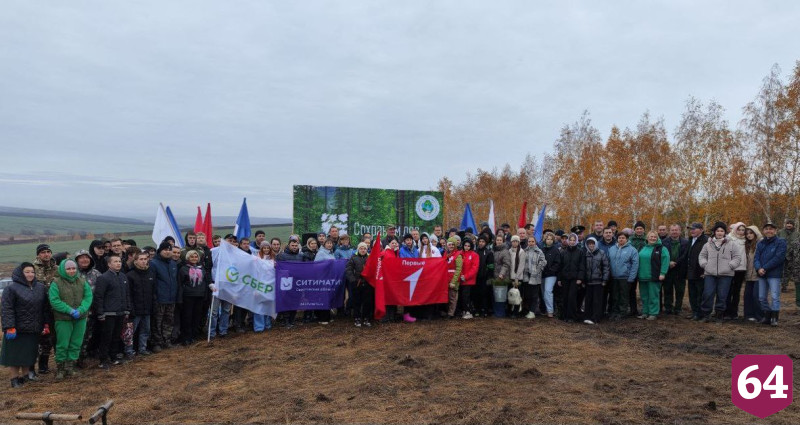 Осенью в Саратовской области высадят 3 миллиона сеянцев 