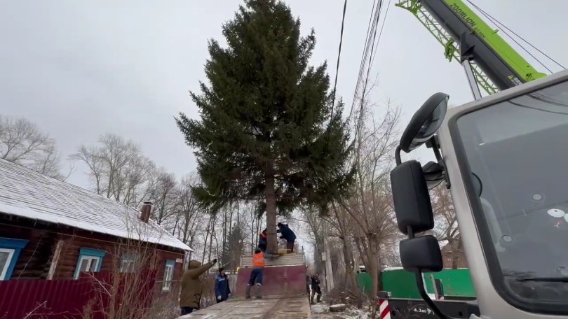 «Уфа, встречай»: первую живую ель везут в уфимский парк