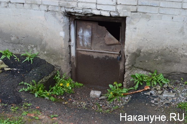 Фото:Накануне.RU
