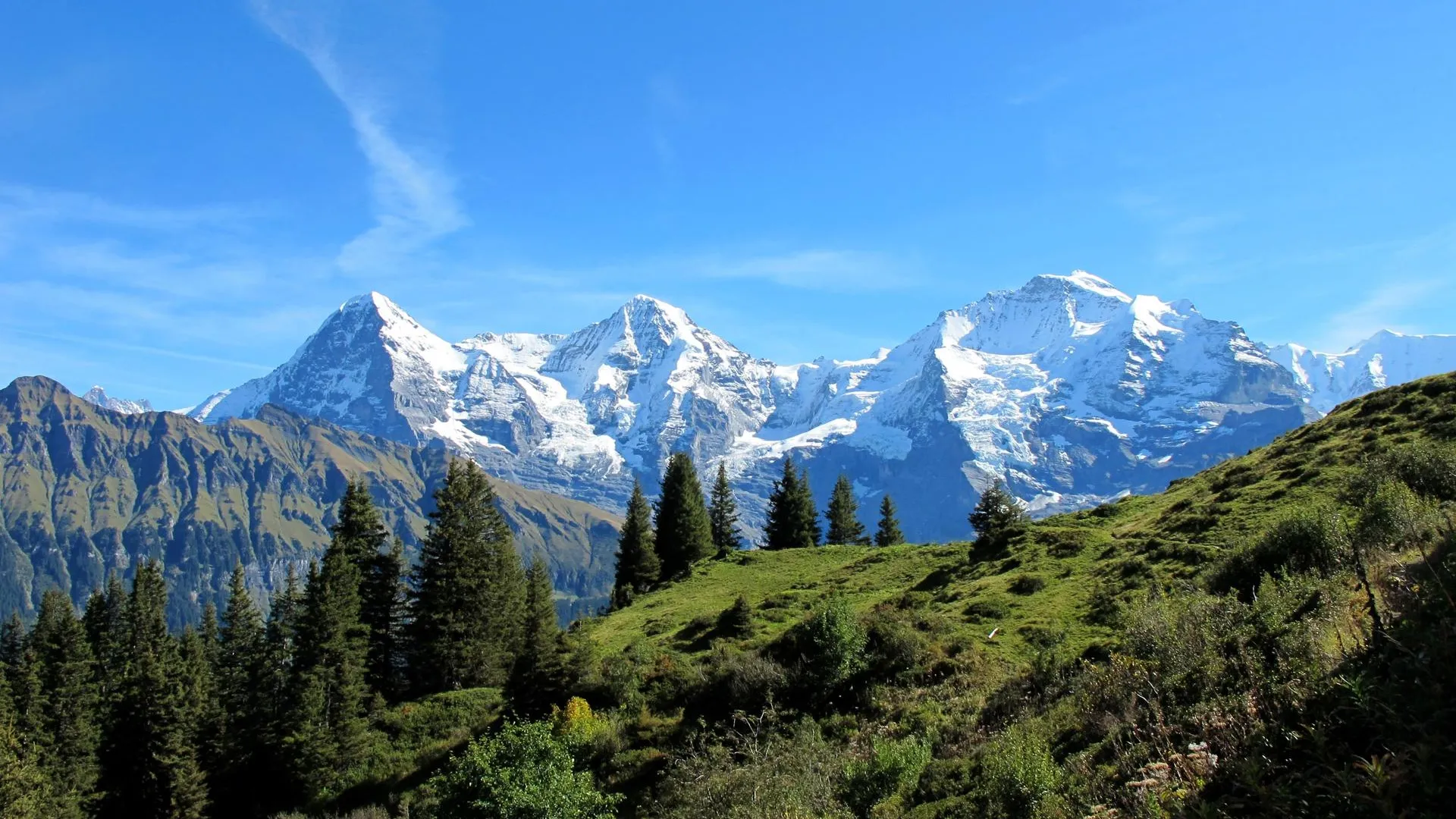 Приложение для прогулок привело к гибели российского ученого в Альпах