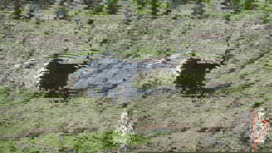 Директор Росгвардии Герой России генерал армии Виктор Золотов дал старт межведомственному командно-штабному учению