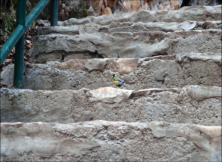 Весенняя Сербия. Фруктовые пейзажи и чудо в горах