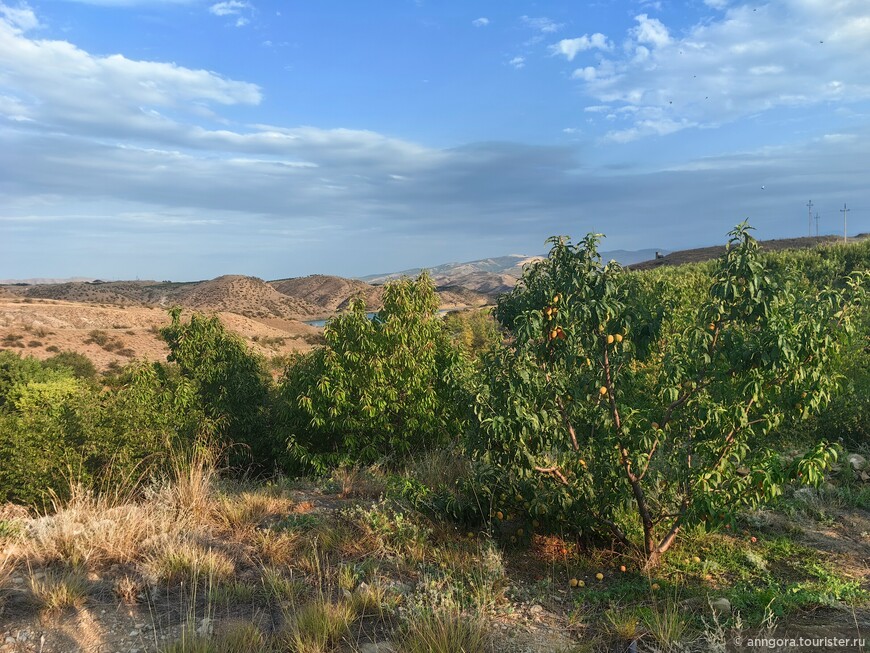 Восточная оконечность Большого Кавказа