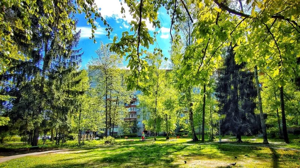 Протвино в мае. Протвино фото летом. Протвино красивые фото.