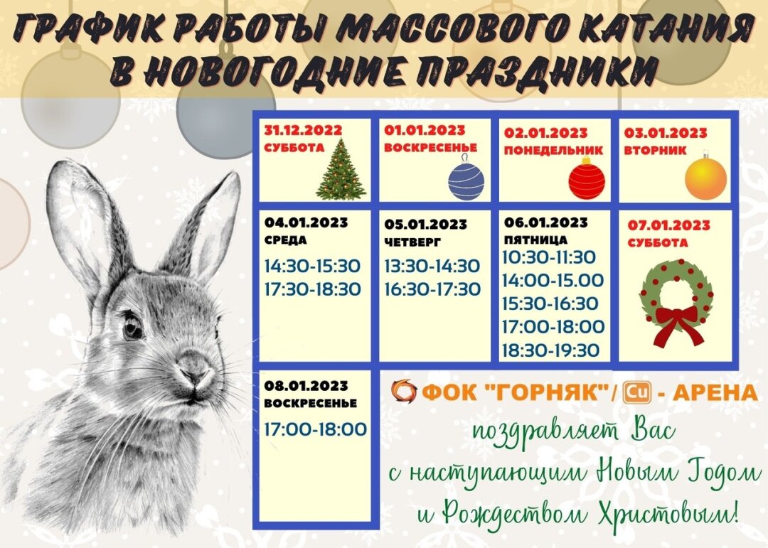 График работы днс в новогодние праздники 2025