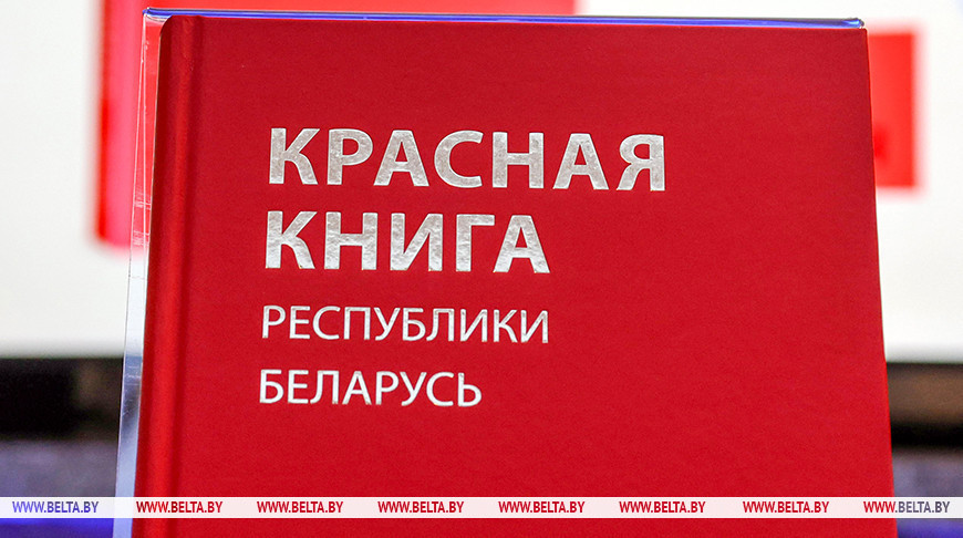 Фото из архива