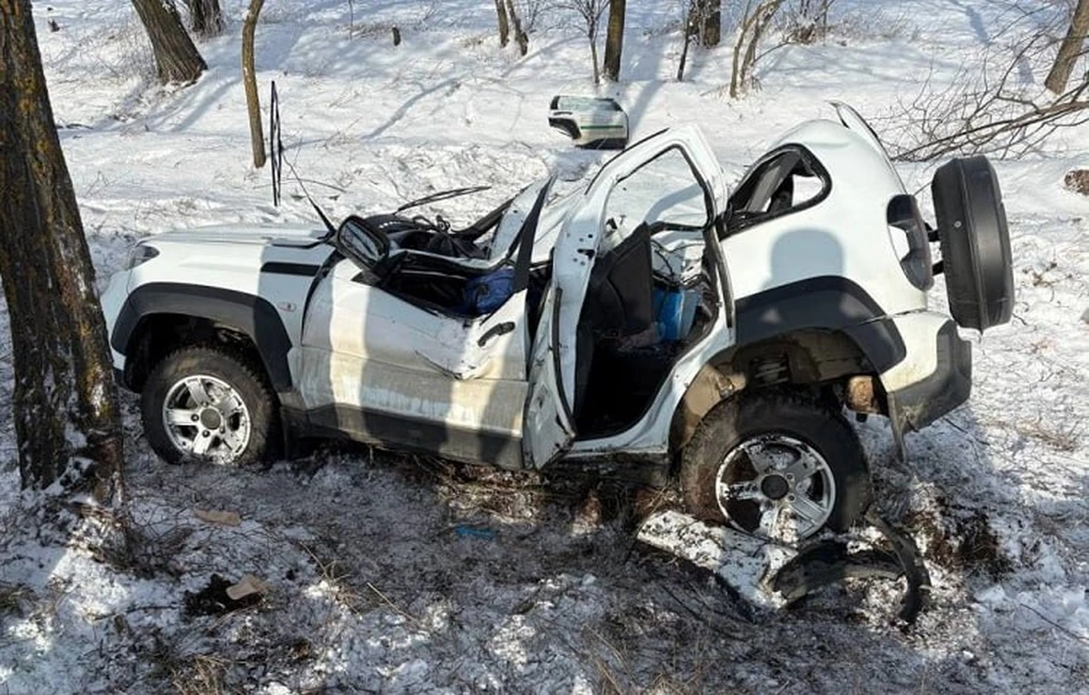 На Кубани «Нива» в гололед сошла с трассы и врезалась в дерево, пострадали двое