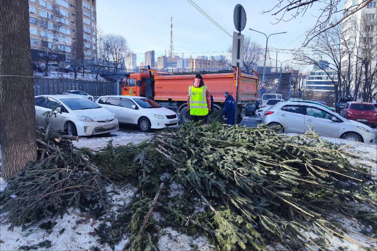 Работать владивосток