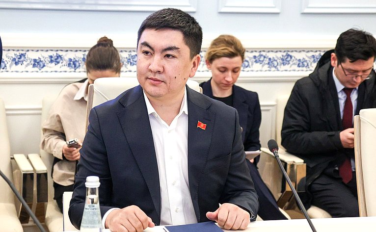 Встреча председателя Комитета СФ по науке, образованию и культуре Лилии Гумеровой с председателем Комитета по труду, здравоохранению, делам женщин и социальным вопросам Жогорку Кенеша Киргизской Республики