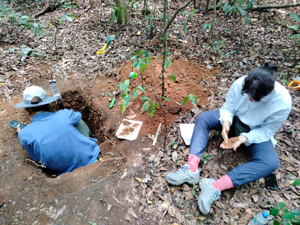 Кат тьен 9.jpg