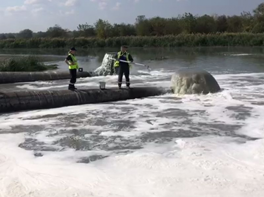 После сообщений о болоте на реке Воронеж водоем проверит Росприроднадзор