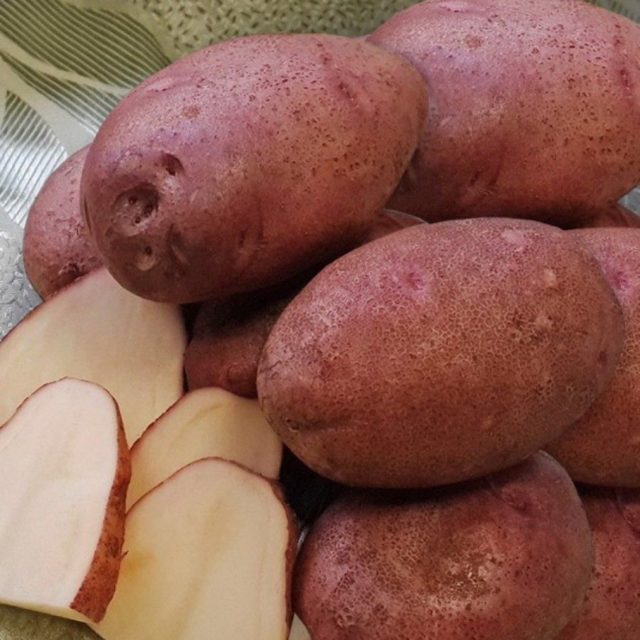 Лучшие сорта картофеля для Южного и Среднего Урала: семенного, новые, отзывы