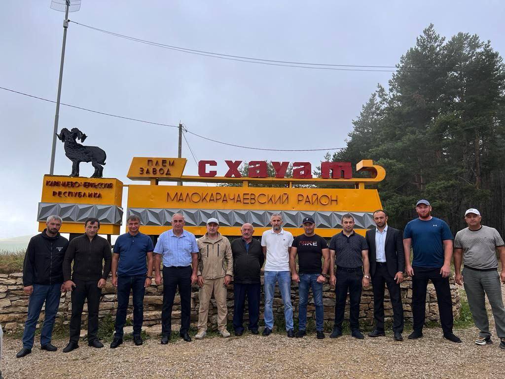 В ауле Схауат Карачаево-Черкесии планируют построить кошары для разведения овец карачаевской породы 