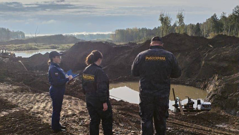 В Мазановском округе оштрафовали руководителей сразу трех золотодобывающих предприятий - gtrkamur.ru