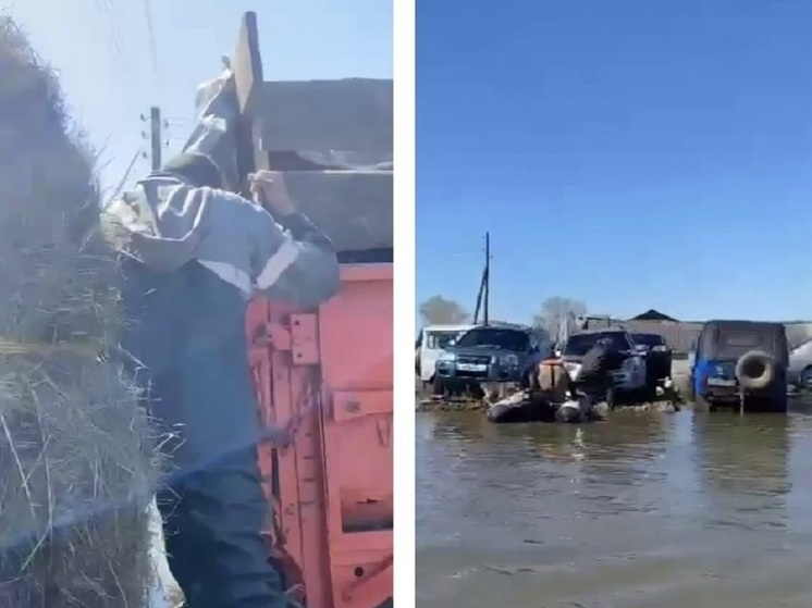В Усть-Ишимском районе спасают людей и домашний скот