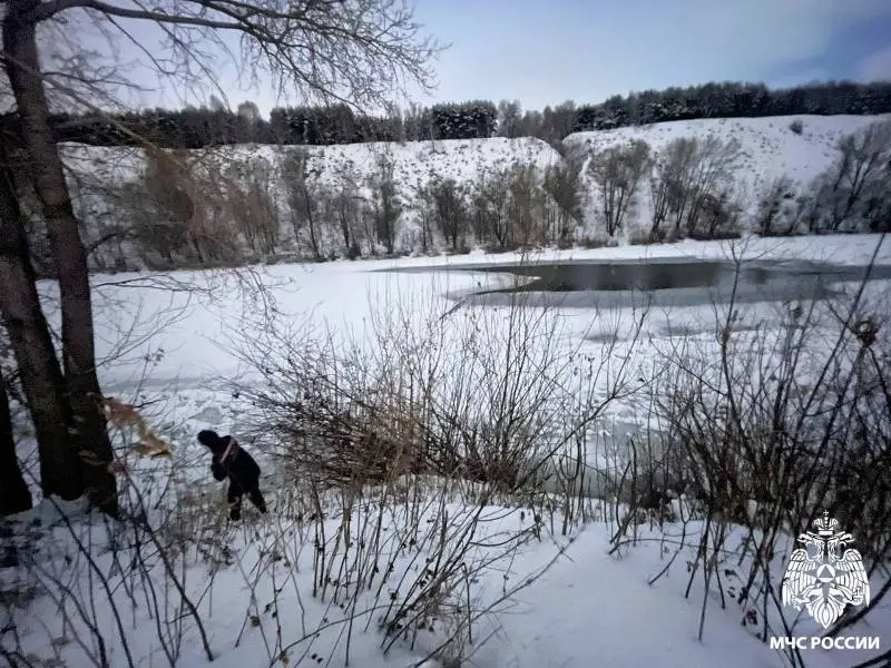 Двое детей провалились под лед на реке Ине в районе улицы Заречной в Первомайском районе Новосибирска. Одного мальчика успели спасти очевидцы, поиски второго продолжаются. Проверки начали прокуратура и следком.