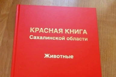 5762400.jpg?5147672451720dd41e1dadbdc6bb46b9