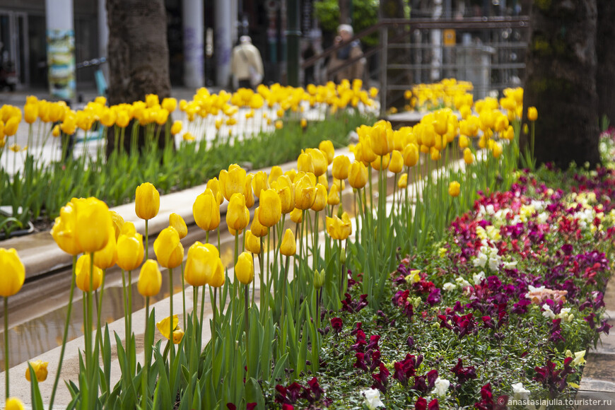 Это моя лучшая весна! 