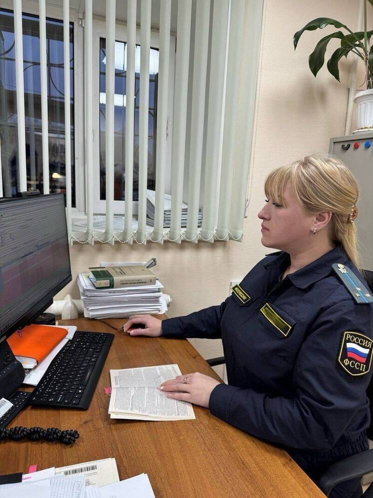 Судебные приставы заставили туляка оплатить 28 штрафов ГИБДД