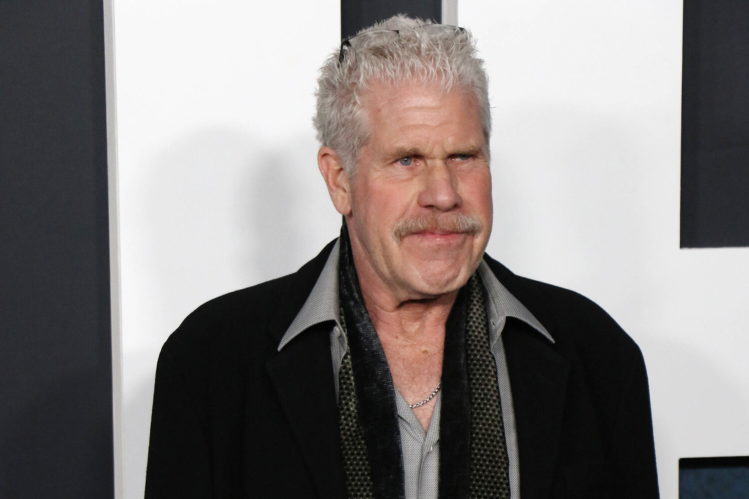 Ron perlman cat