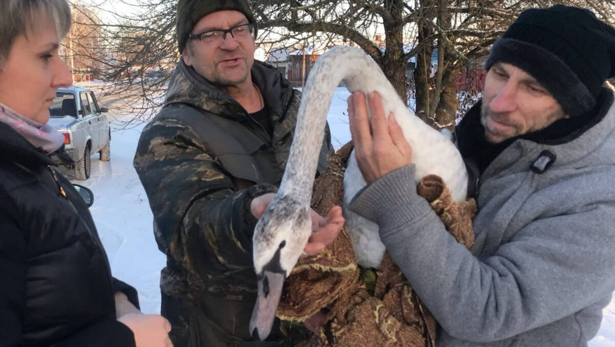 Подслушано Климово Брянская Область