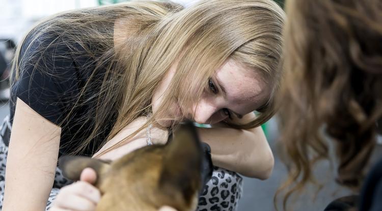 Как отдохнуть белгородцам 24–26 октября