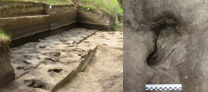 Многочисленные следы древних обитателей побережья в Шёнингене