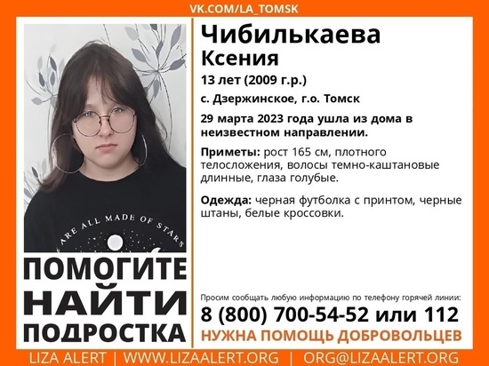 Ушла из дома в одной футболке: что известно об исчезновении 13-летней девочки из села под Томском