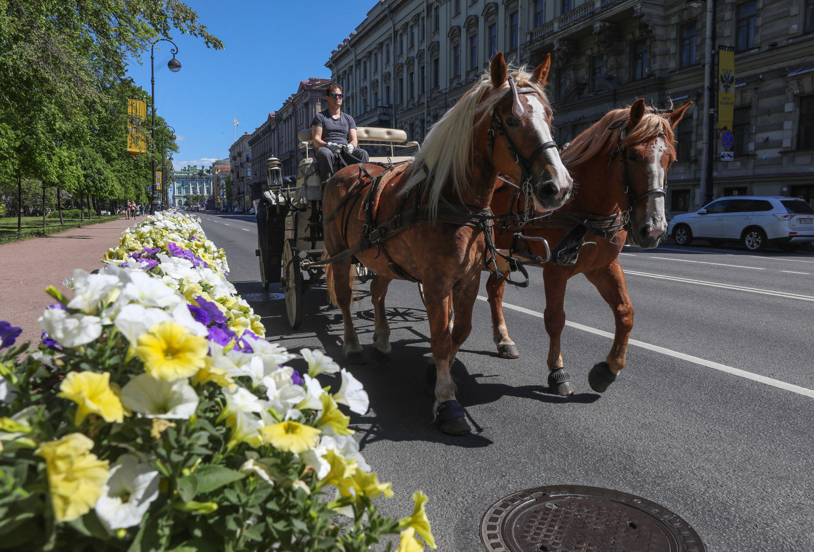 Август продолжай. Шествие по центру Петербурга по воскресеньям.